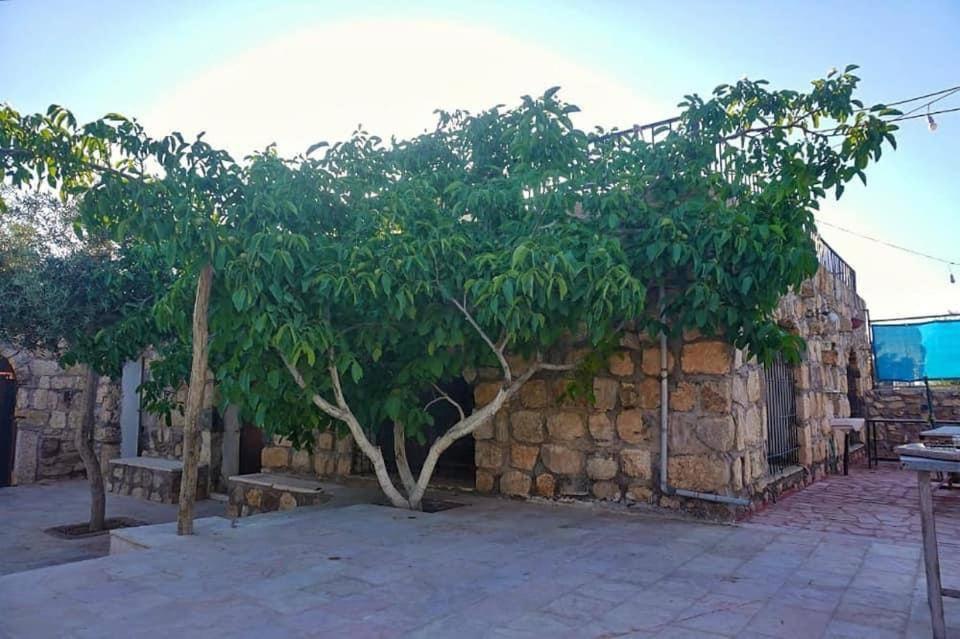Heritige Inn Jordan Al-Qasr Kültér fotó